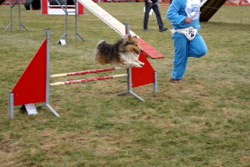 Diouk Du grand champ d'aubertans